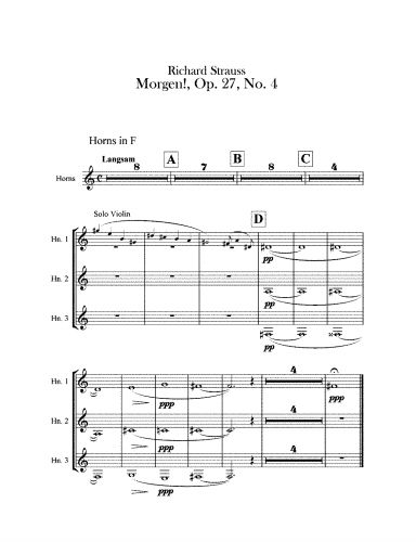 Strauss - 4 Lieder, Op. 27 - 4. Morgen! - For Voice & Orchestra (E Major Version)