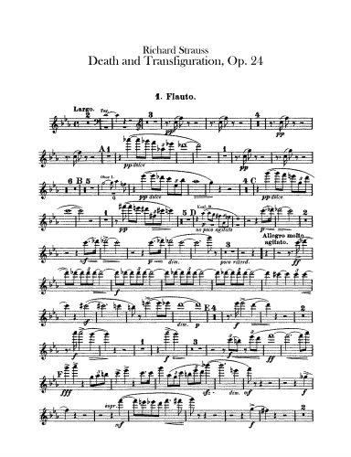 Strauss - Tod und Verklärung, Op. 24
