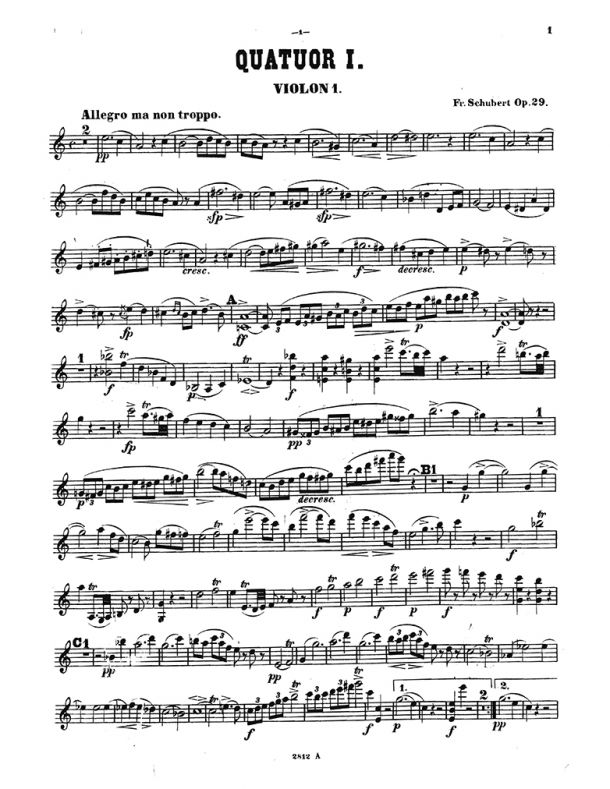 Schubert - String Quartet No. 13 'Rosamunde', D. 804