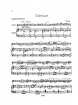 Vitali - Ciaconna - For Violin and Piano (David) - Score