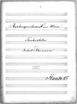 Schumann - Faschingsschwank aus Wien Op. 26 - For Orchestra (Svendsen)