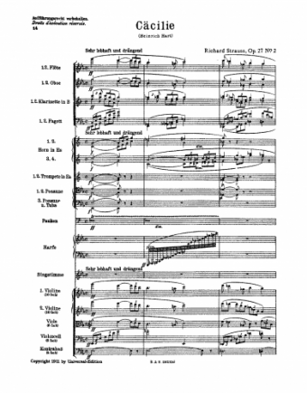 Strauss - 4 Lieder, Op. 27 - 2. Cäcilie - For Voice & Orchestra