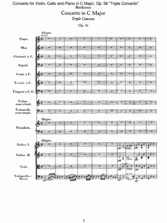 Beethoven - Concerto for Violin, Cello and Piano