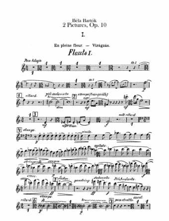 Bartók - Deux Images, Op. 10